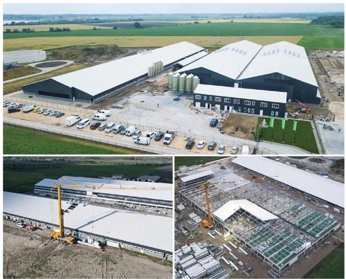 ultimo caso aziendale circa Gli edifici di allevamento suini del progetto hanno una superficie totale utilizzabile di oltre 27.000 mq, con