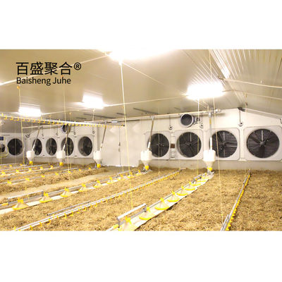 Multipiano grande scala Chicken Coop Shed Farm House magazzino con finestra in lega di alluminio