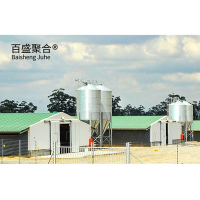 Multipiano grande scala Chicken Coop Shed Farm House magazzino con finestra in lega di alluminio
