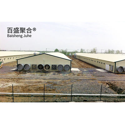 Multipiano grande scala Chicken Coop Shed Farm House magazzino con finestra in lega di alluminio