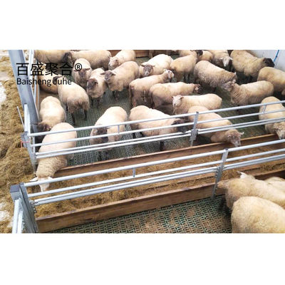 Corpi prefabbricati per bovini Cavalli Capre e pecore Struttura in acciaio da costruzione rapida