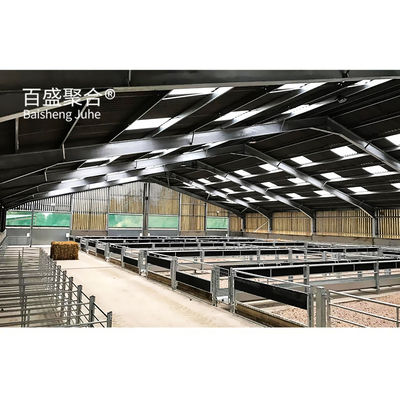Struttura in acciaio prefabbricato capanna per pecore Progettazione di edifici agricoli in acciaio a basso tenore di carbonio Q235