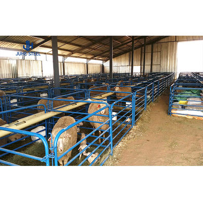 Edificio agricolo prefabbricato di acciaio di grado standard ASTM per alloggi per bovini e pecore