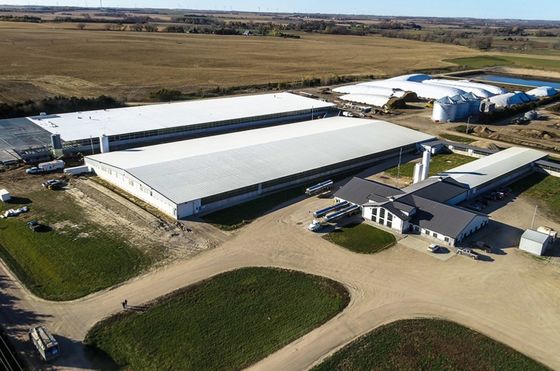 Customised Steel Structure Warehouse Workshop Hangar Hall con tetto a pannelli sandwich