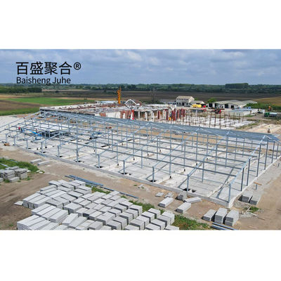 AutoCAD Drawing Design Steel Frame Pig Farm Structures Building for Poultry Husbandry Edificio per l'allevamento di pollame
