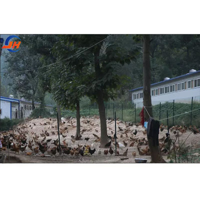 Moderno design di grado di acciaio gallineria per pollame casa struttura in acciaio capanna