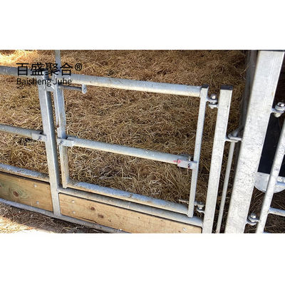 Casa di struttura in acciaio galvanizzato a caldo/vernice a spruzzo per pollame ed efficienza
