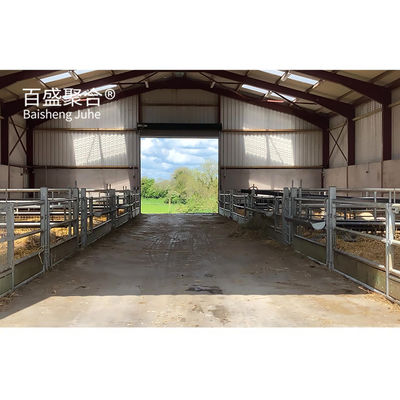 C.Z. personalizzabile in forma di canale di acciaio Purlin Sheep Shed Casa per la gestione del bestiame