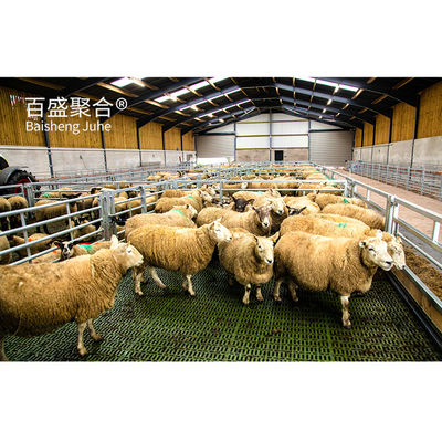 C.Z. personalizzabile in forma di canale di acciaio Purlin Sheep Shed Casa per la gestione del bestiame