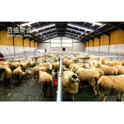 C.Z. personalizzabile in forma di canale di acciaio Purlin Sheep Shed Casa per la gestione del bestiame