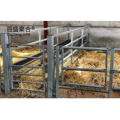 C.Z. personalizzabile in forma di canale di acciaio Purlin Sheep Shed Casa per la gestione del bestiame