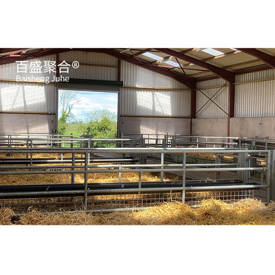 Agricoltura dell'acciaio Struttura prefabbricata in acciaio allevamento caprine allevamento di pecore rifugio capanna casa con travi H