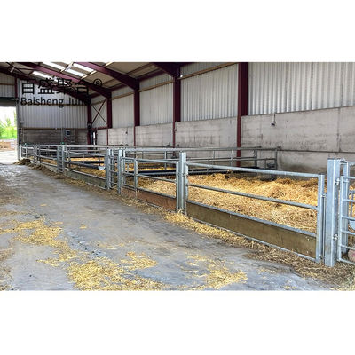 Aluminico Legato Finestra Metallico Capreteria Scatola Progettazione Struttura in acciaio Casa di pecore Rifugio PKPM Disegno