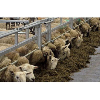 Prefabbricato a prezzi accessibili Edificio in metallo Sheep Goat Farm Shed Casa con disegno PKPM
