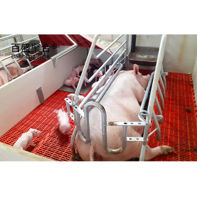 ASTM Standard Customized Commercial Pig House con porta a rulli e struttura in acciaio prefabbricata