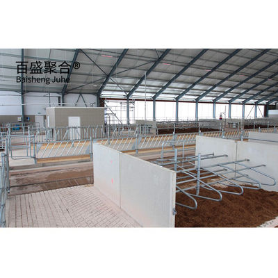 Struttura in acciaio prefabbricata pesante capanno per mucche per MTS Disegno progettazione allevamento di bovini lattiero-caseari