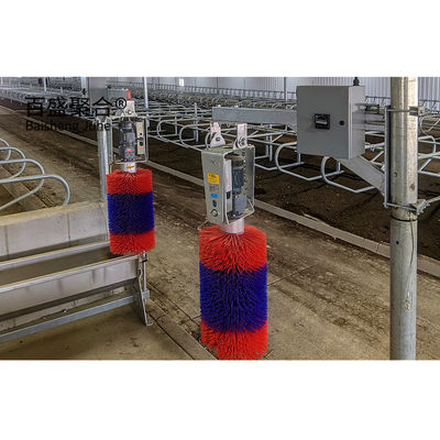 Struttura in acciaio prefabbricata pesante capanno per mucche per MTS Disegno progettazione allevamento di bovini lattiero-caseari