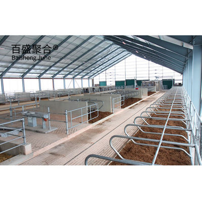 Struttura in acciaio prefabbricata pesante capanno per mucche per MTS Disegno progettazione allevamento di bovini lattiero-caseari