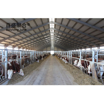 Struttura in acciaio prefabbricata pesante capanno per mucche per MTS Disegno progettazione allevamento di bovini lattiero-caseari