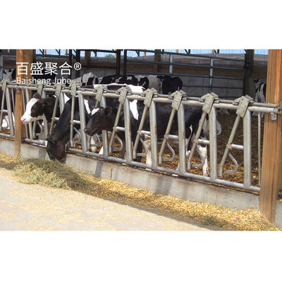PKPM Disegno Progettazione Struttura in acciaio prefabbricata Vacca Capra allevamento lattiero-caseario capanna per l'agricoltura