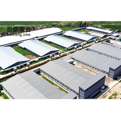 ISO9001 2008/CE/BV Certified Pig Farming Business Plan per gabbie e penne personalizzate