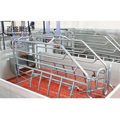 ISO9001 2008/CE/BV Certified Pig Farming Business Plan per gabbie e penne personalizzate