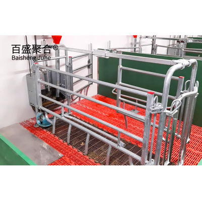 ISO9001 2008/CE/BV Certified Pig Farming Business Plan per gabbie e penne personalizzate