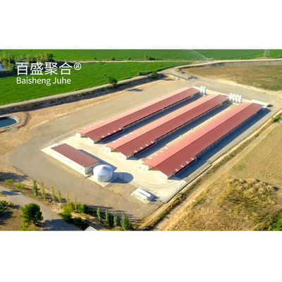 ±1% Tolleranza Struttura in acciaio di costruzione rapida Casa di pollaio per allevamenti di pollame prefabbricati