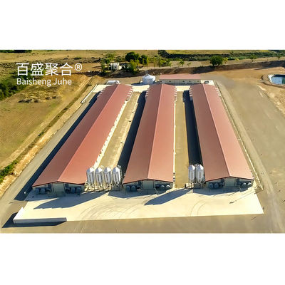 ±1% Tolleranza Struttura in acciaio di costruzione rapida Casa di pollaio per allevamenti di pollame prefabbricati