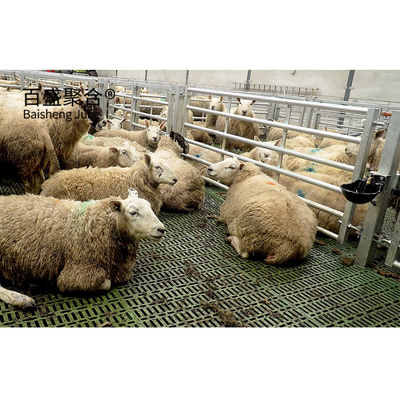 Struttura in acciaio prefabbricata Capra allevamento progettazione capanna per acciaio a basso tenore di carbonio Q235