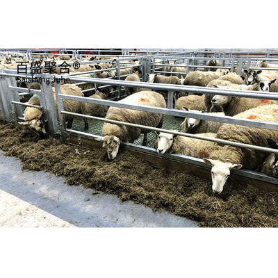 Struttura in acciaio prefabbricata Capra allevamento progettazione capanna per acciaio a basso tenore di carbonio Q235