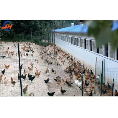 ISO9001 2008/CE/BV Certificato Modern Poultry Farm Struttura in acciaio leggero