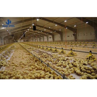 ISO9001 2008/CE/BV Certificato Modern Poultry Farm Struttura in acciaio leggero
