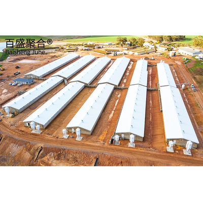 ISO9001 2008/CE/BV Certificato Modern Poultry Farm Struttura in acciaio leggero