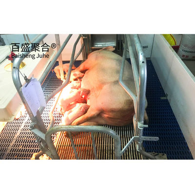 Prefabbricato in acciaio galvanizzato a caldo / verniciato con spruzzo progettazione di casa di macelleria per allevamenti di pollame