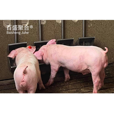 Prefabbricato in acciaio galvanizzato a caldo / verniciato con spruzzo progettazione di casa di macelleria per allevamenti di pollame