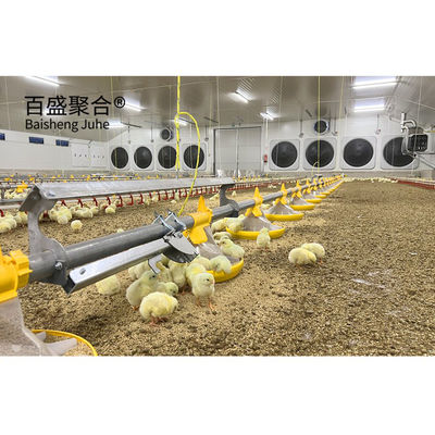 Galvanizzato tipo A pollo gabbie strato pollame con ISO9001 2008/CE/BV Certificazione