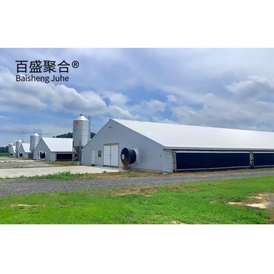 Galvanizzato tipo A pollo gabbie strato pollame con ISO9001 2008/CE/BV Certificazione