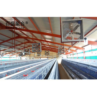 Professional Chicken Breeding Cage Standard ASTM con rivestimento galvanizzato a caldo