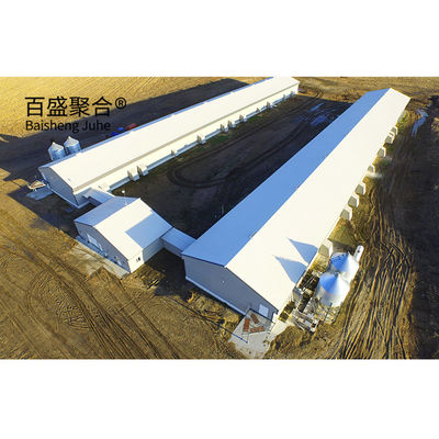 Professional Chicken Breeding Cage Standard ASTM con rivestimento galvanizzato a caldo