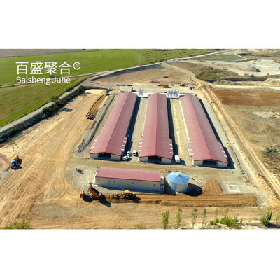 Tolleranza elevata gabbia di pollo a uno strato per 1000-10000 galline ovaiole nell'allevamento dell'acciaio