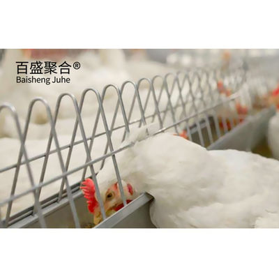 Tolleranza elevata gabbia di pollo a uno strato per 1000-10000 galline ovaiole nell'allevamento dell'acciaio