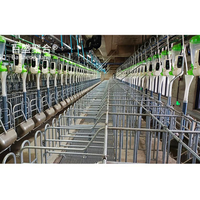 Hot Dip Galvanised/Paint Spraying Steel Structures for Pig Farm Warehouse Frame House struttura in acciaio a caldo