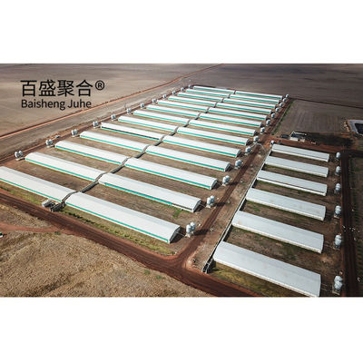 Hot Dip Galvanised/Paint Spraying Steel Structures for Pig Farm Warehouse Frame House struttura in acciaio a caldo