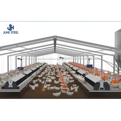 Attrezzature per l'allevamento di polli in acciaio personalizzate per la progettazione e la costruzione di case di polli