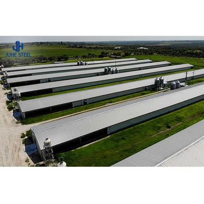 Attrezzature per l'allevamento di polli in acciaio personalizzate per la progettazione e la costruzione di case di polli