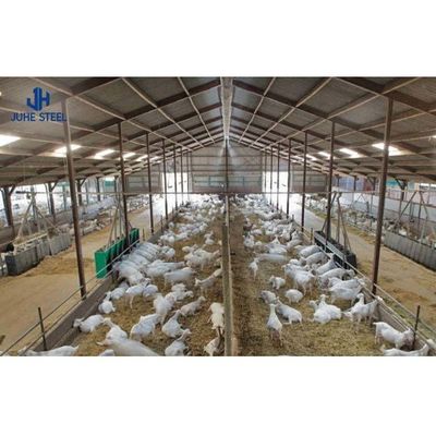 Struttura in acciaio per il tetto a lamiera singola Struttura in acciaio per il tetto a lame strato Casella di pollo per capanno per pollame