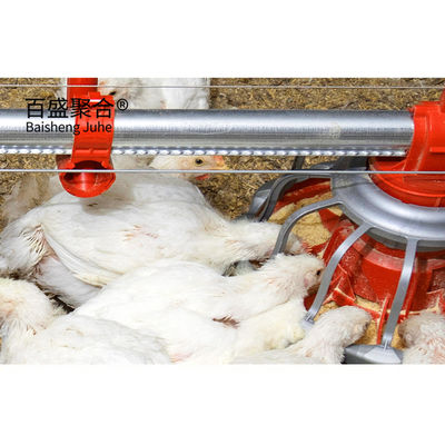 ISO9001 2008/CE/BV Certificate Steel Frame Chicken Farm for Open Side Poultry Shed Tipo