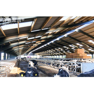Struttura in acciaio personalizzabile per l'allevamento lattiero-caseario, galvanizzata a caldo e spruzzata con vernice