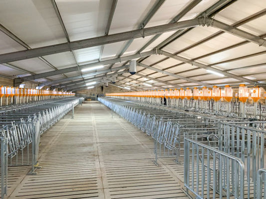 Porta scorrevole porta a rulli per la costruzione di allevamenti bovini e allevamenti suini